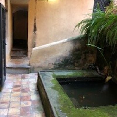 IMG_3870